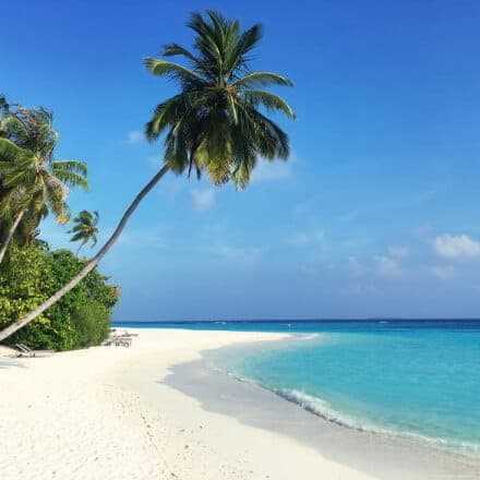 Wczasy na Malediwach - Polecamy