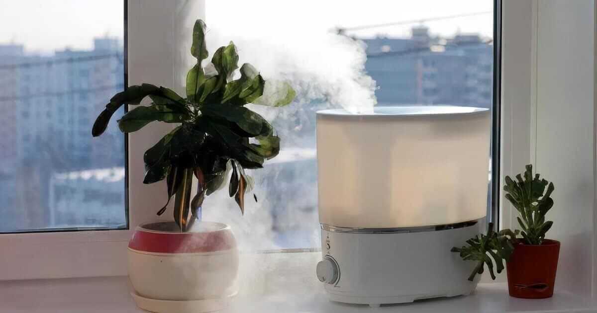 Najlepsze nawilżacze powietrza dla domu 2022